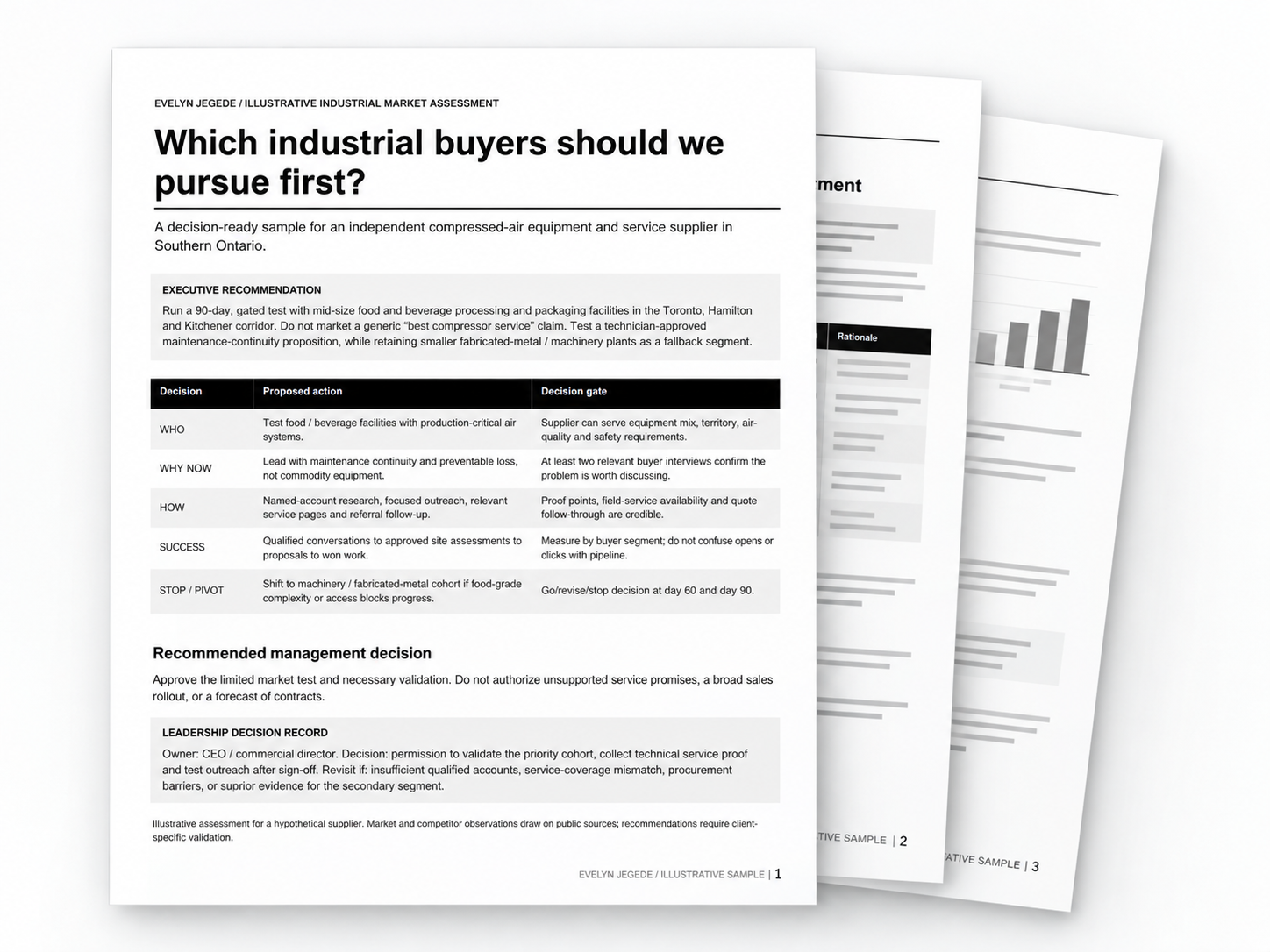 Preview of Industrial Buyer Opportunity Assessment