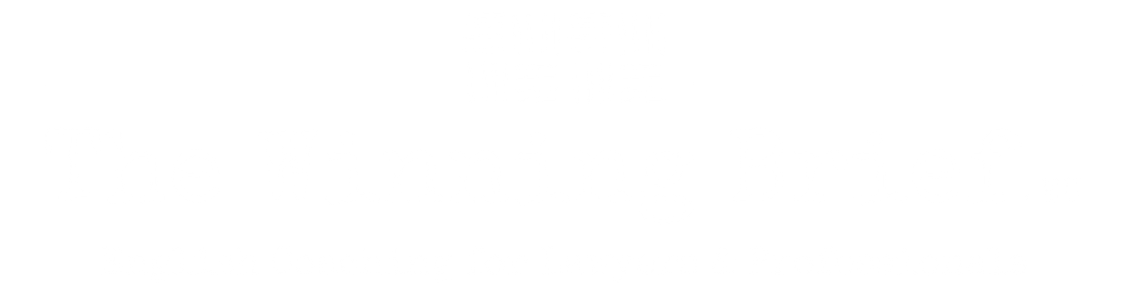 The Winning Brief